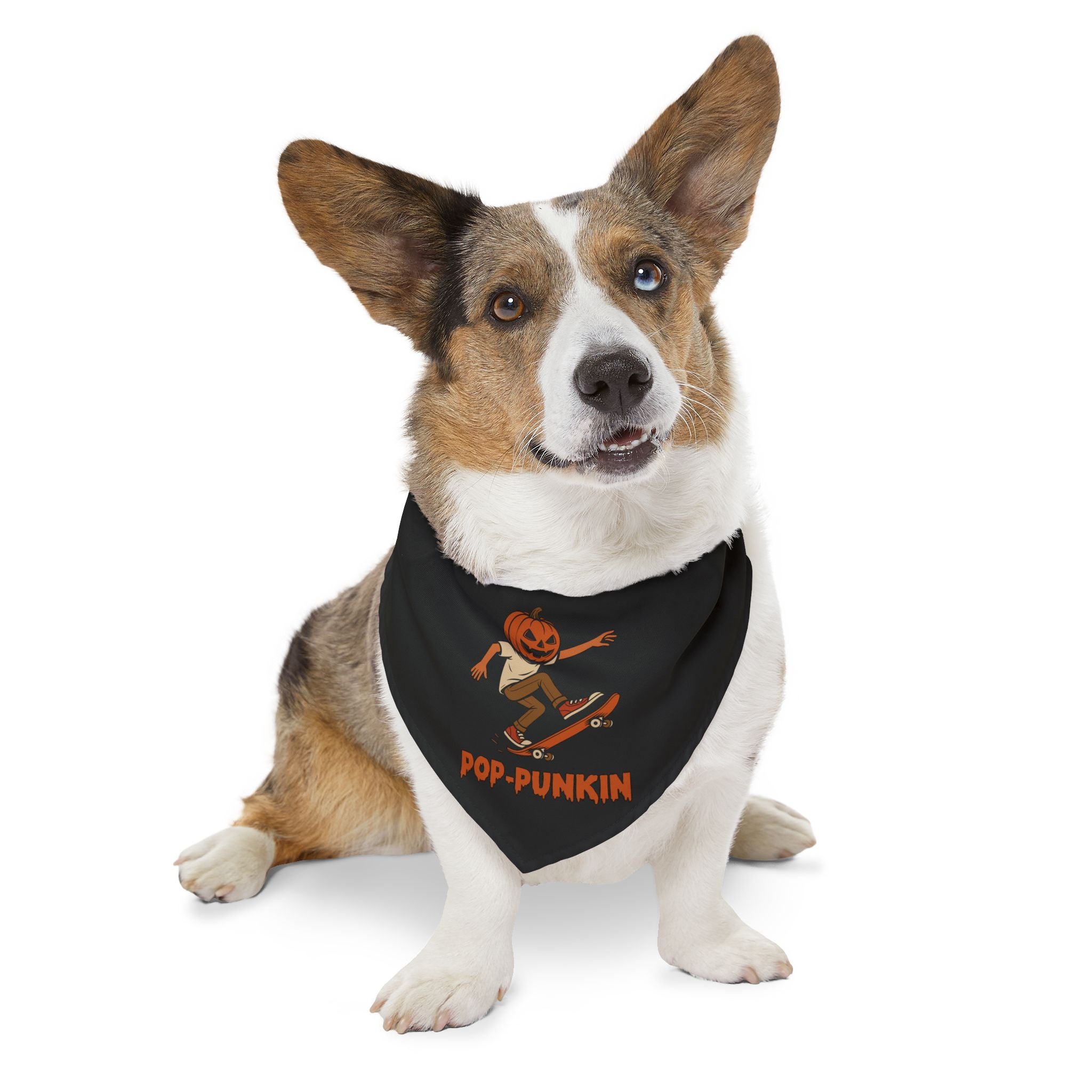Pop-punkin Pet Bandana