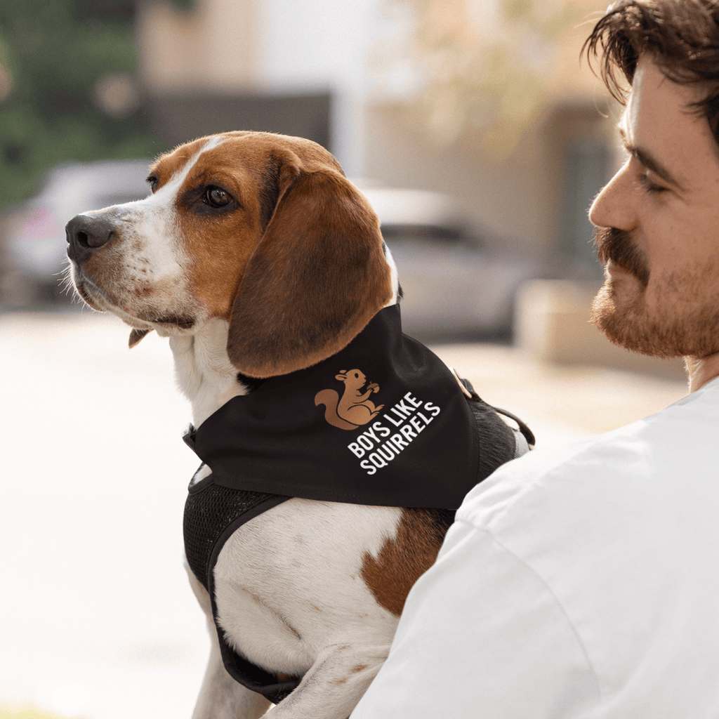 Boys Like Squirrels Pet Bandana OLD