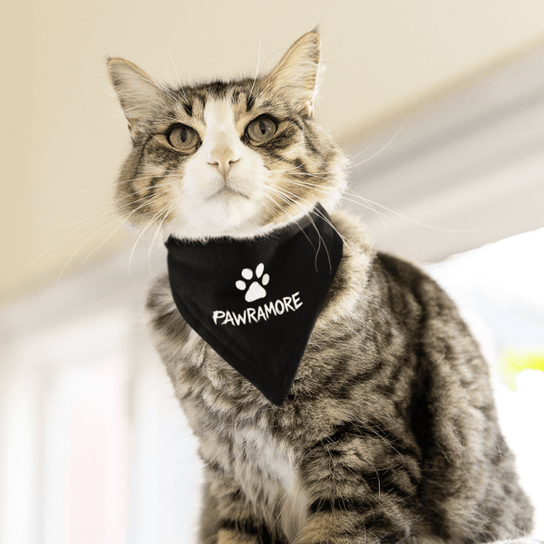 Pawramore Pet Bandana OLD