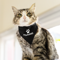 Pawramore Pet Bandana