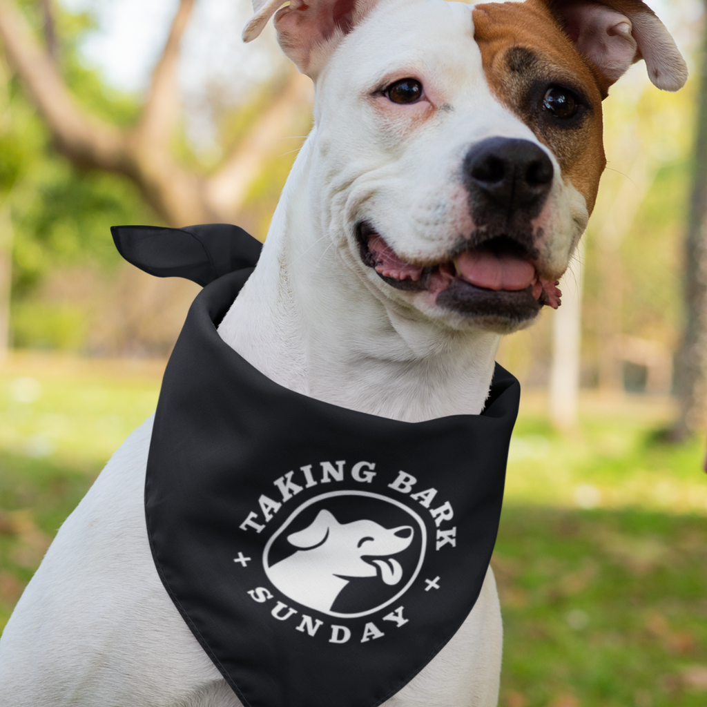Taking Bark Sunday Pet Bandana