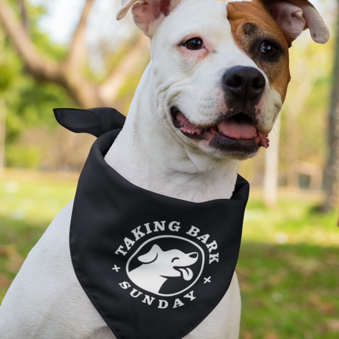 Taking Bark Sunday Pet Bandana